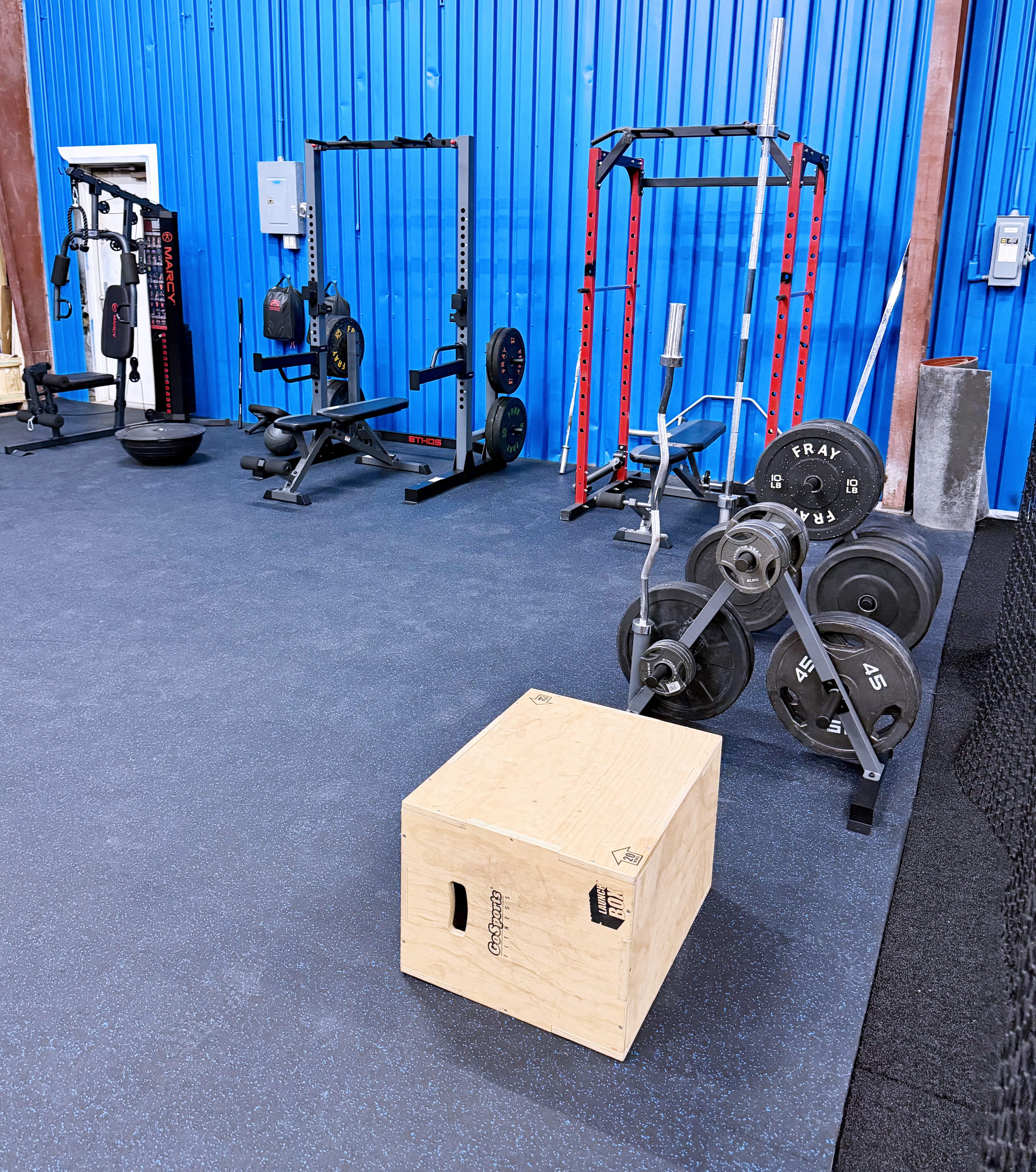 Strength & Conditioning
